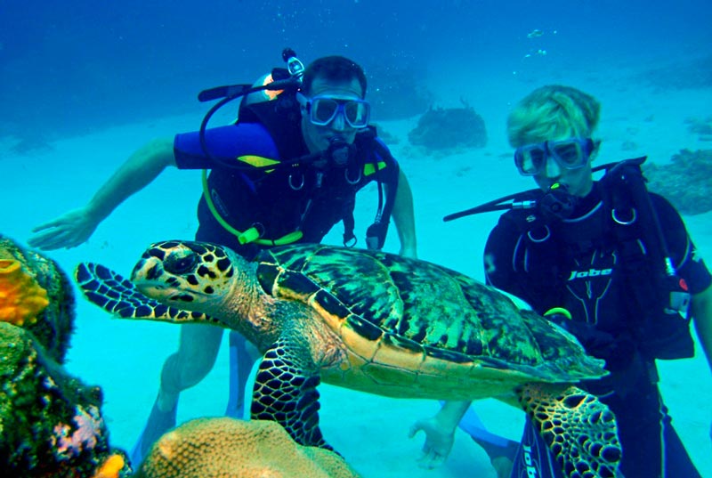 scuba diving cancun padi