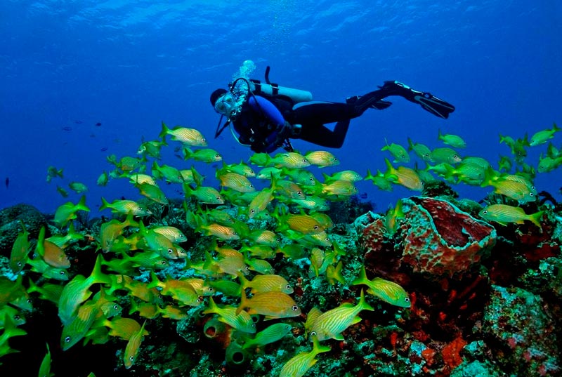 cancun diving tours