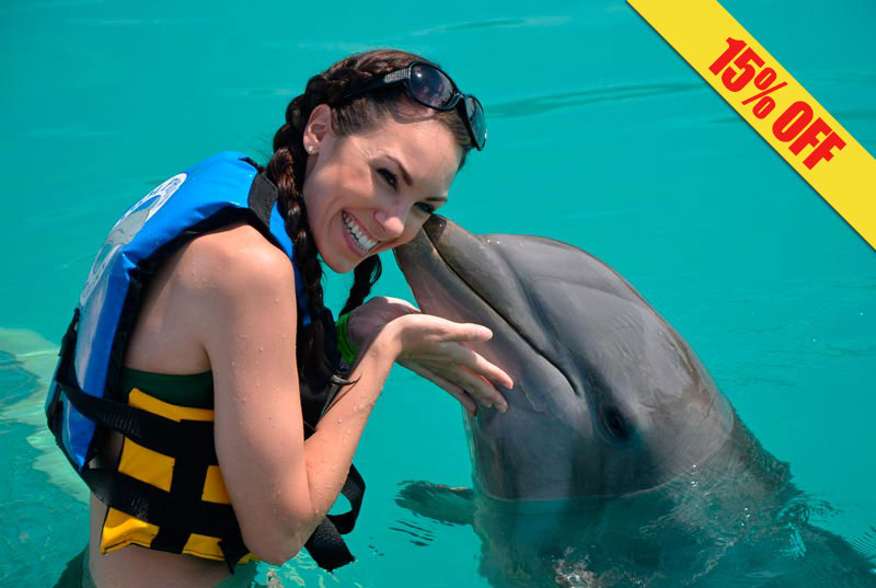 dolphin encounter cancun mexico